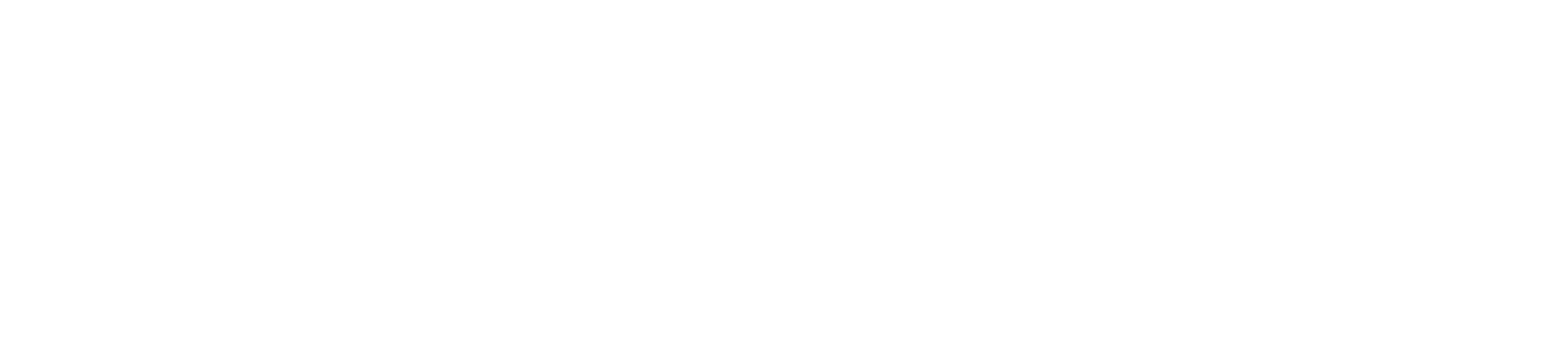 Logo ZYXEL